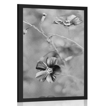 Plakat kwiaty w czerni i bieli - 40x60 white