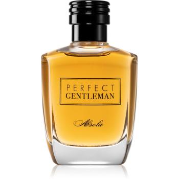 Art & Parfum Perfect Gentleman Absolu woda perfumowana dla mężczyzn 100 ml