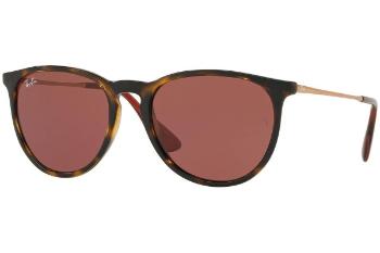 Ray-Ban Erika Color Mix RB4171 639175 ONE SIZE (54)