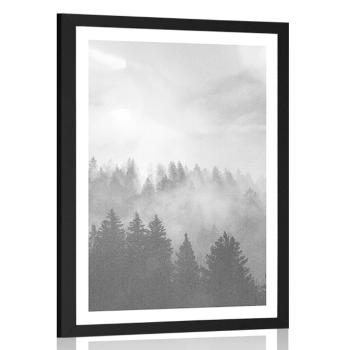 Plakat z passe-partout mgła nad lasem w czerni i bieli - 30x45 silver