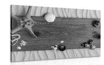Obraz skarby morza na drewnie w wersji czarno-białej