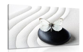 Obraz biały motyl na czarnym kamieniu - 60x40