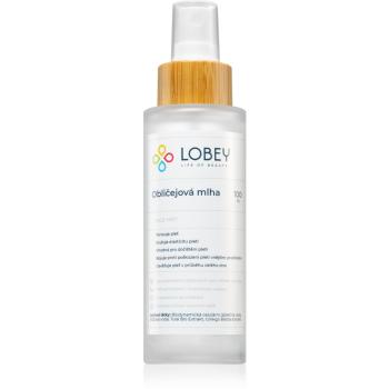 Lobey Skin Care tonizująca mgiełka do twarzy 100 ml