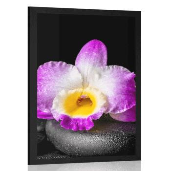 Plakat z passe-partout górska fioletowa orchidea na kamieniach Zen - 60x90 white
