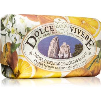 Nesti Dante Dolce Vivere Capri mydło naturalne 250 g