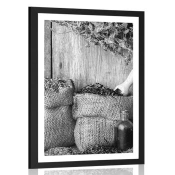 Plakat z passe-partout lecznicze zioła w czerni i bieli - 40x60 white