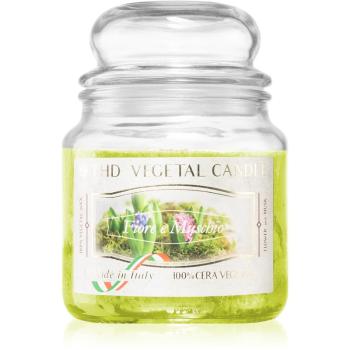 THD Vegetal Fiore E Muschio świeczka zapachowa 400 g