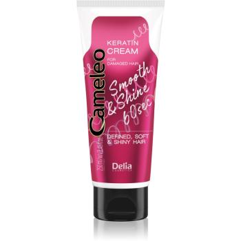 Delia Cosmetics Cameleo Smooth & Shine 60 sec krem do stylizacji włosów do nabłyszczania i zmiękczania włosów 250 ml