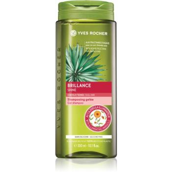 Yves Rocher Brillance szampon oczyszczający do nabłyszczania i zmiękczania włosów 300 ml