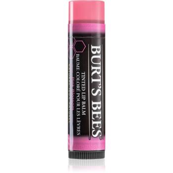 Burt’s Bees Tinted Lip Balm balsam do ust odcień Pink Blossom 4.25 g