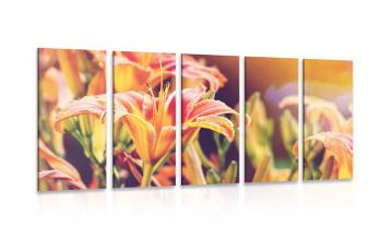 5-częściowy obraz piękne kwitnące kwiaty na ogrodzie - 100x50