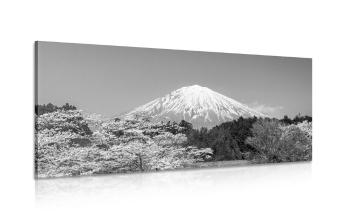 Obraz góra Fuji w wersji czarno-białej - 120x60