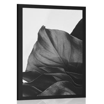 Plakat magiczny liść monstery w czerni i bieli - 60x90 white