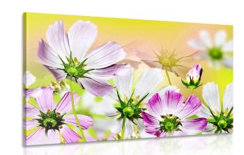 Obraz letnie kwiaty - 120x80
