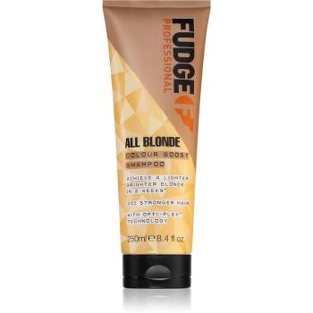 Fudge All Blonde Colour Boost Shampoo szampon rewitalizujący przywracający włosom blask do włosów blond 250 ml