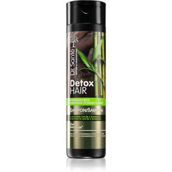 Dr. Santé Detox Hair szampon intensywnie regenerujący 250 ml