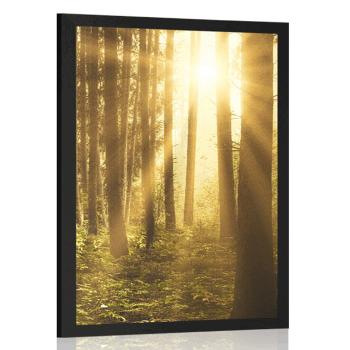 Plakat wschód słońca w lesie - 60x90 black