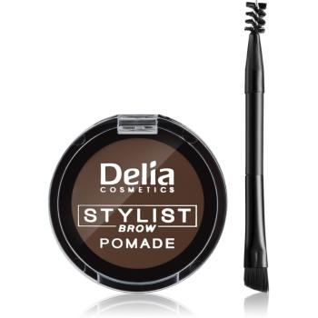 Delia Cosmetics Eyebrow Expert pomada do brwi odcień Dark Brown 4 g