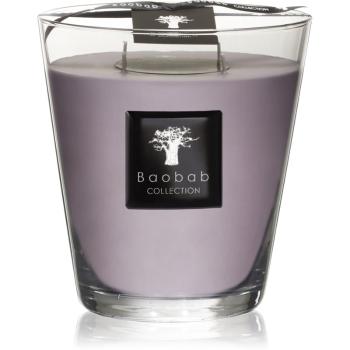Baobab All Seasons White Rhino świeczka zapachowa 24 cm