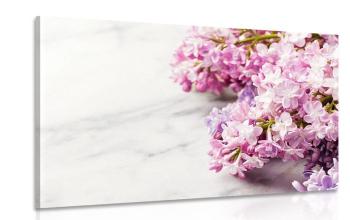 Obraz piękne kwiaty na marmurowym tle - 120x80