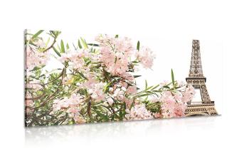 Obraz Wieża Eiffla i różowe kwiaty - 100x50