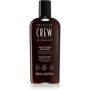 American Crew Daily Silver Shampoo szampon do blond i siwych włosów 250 ml