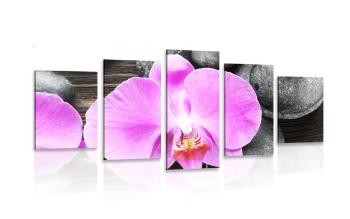5-częściowy obraz piękna orchidea i kamienie