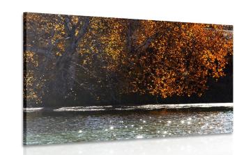 Obraz odbicie liści w jeziorze - 120x80