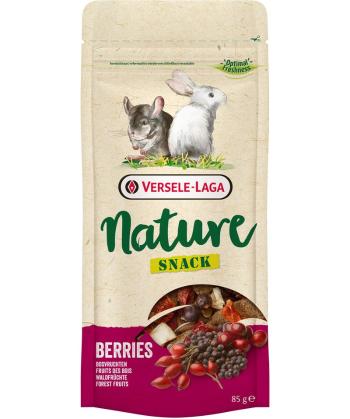 VERSELE-LAGA Przysmak dla gryzoni Nature snack berries jagodowy 85 g