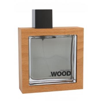 Dsquared2 He Wood 100 ml woda toaletowa dla mężczyzn