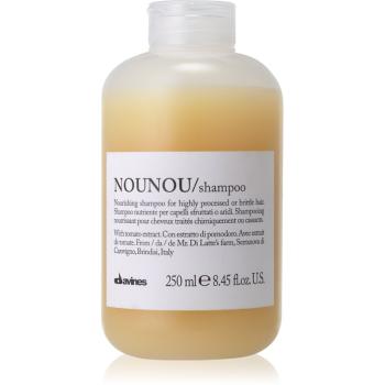 Davines NouNou szampon odżywczy do włosów suchych i łamliwych 250 ml