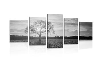 5-częściowy obraz samotnego drzewa w wersji czarno-białej