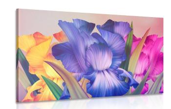 Obraz kwiatowa fantazja - 60x40