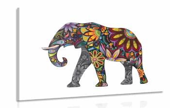 Obraz słoń z pozytywnymi wibracjami - 120x80