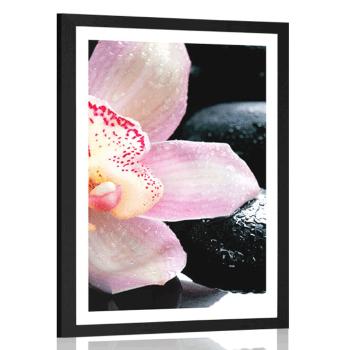 Plakat z passe-partout egzotyczna orchidea - 20x30 black