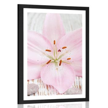 Plakat z passe-partout różowa lilia i kamienie Zen - 30x45 white