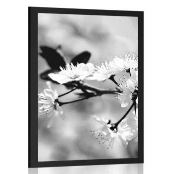 Plakat Kwiat czereśni w czerni i bieli - 20x30 silver