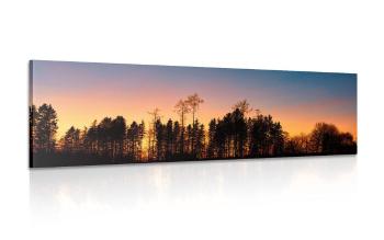 Obraz las spowity w ciemności - 150x50