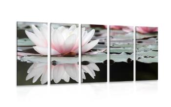 5-częściowy obraz kwiat lotosu - 100x50
