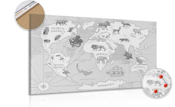 Obraz czarno-biała mapa świata z motywem zwierząt na korku - 90x60