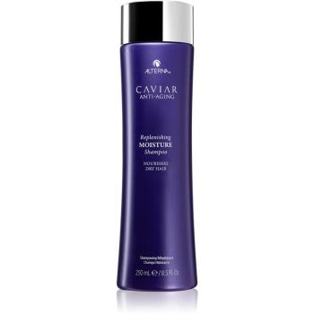 Alterna Caviar Anti-Aging Replenishing Moisture szampon nawilżający do włosów suchych 250 ml