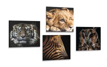 Zestaw obrazów dzikie zwierzęta - 4x 60x60