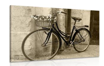 Obraz rustykalny rower w wersji sepia - 120x80