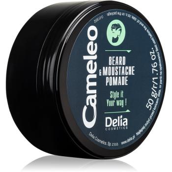 Delia Cosmetics Cameleo Men wosk do brody 50 g