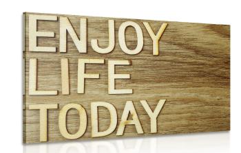 Obraz z cytatem - Enjoy life today - 120x80