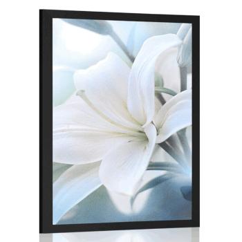 Plakat biały kwiat lilii na abstrakcyjnym tle - 30x45 silver