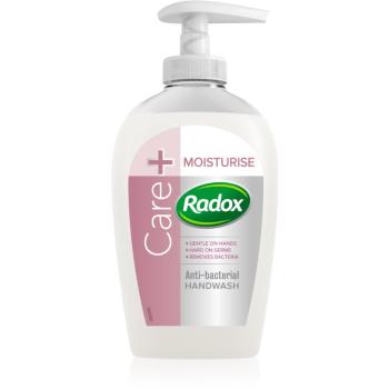 Radox Feel Hygienic Moisturise mydło w płynie ze środkiem antybakteryjnym 250 ml