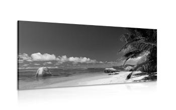 Obraz Plaża Anse Source w wersji czarno-białej - 120x60
