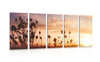5-częściowy obraz źdźbła trawy o wschodzie słońca - 100x50