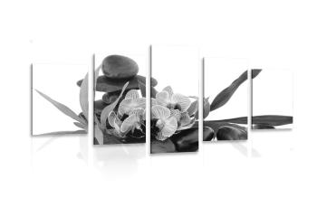 5-częściowy obraz orchidea w Zen zaciszu w czarnobiałym kolorze